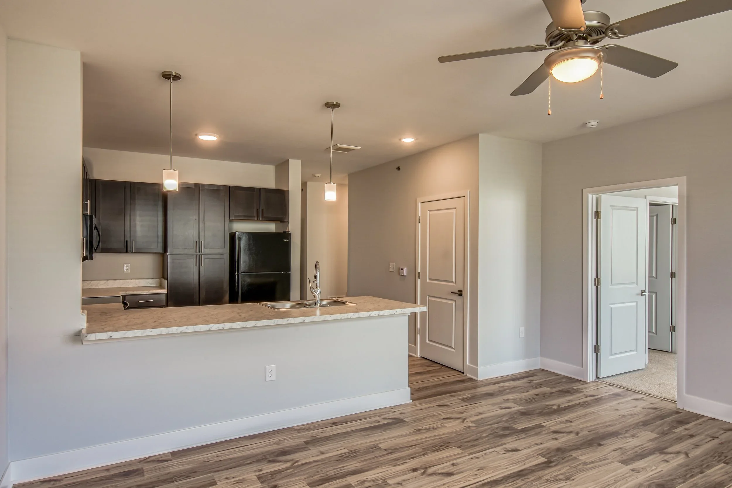 Kitchen and living room