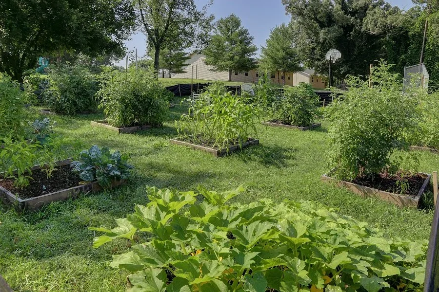 Cherokee Hills gallery photo