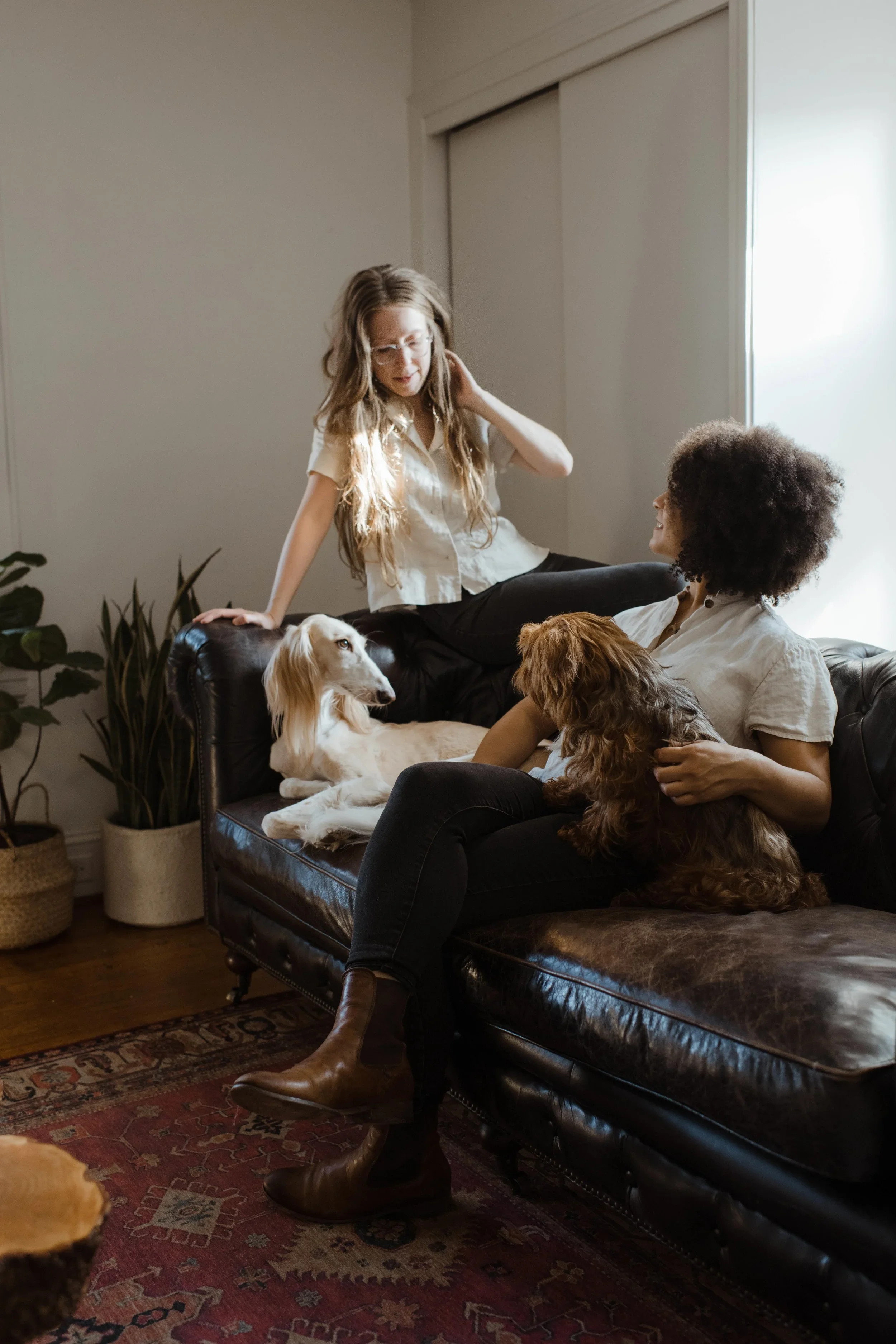 Residents with dogs in living room at Hallmark Station