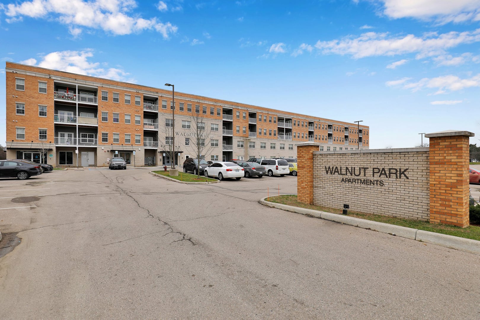 Walnut Park gallery 4